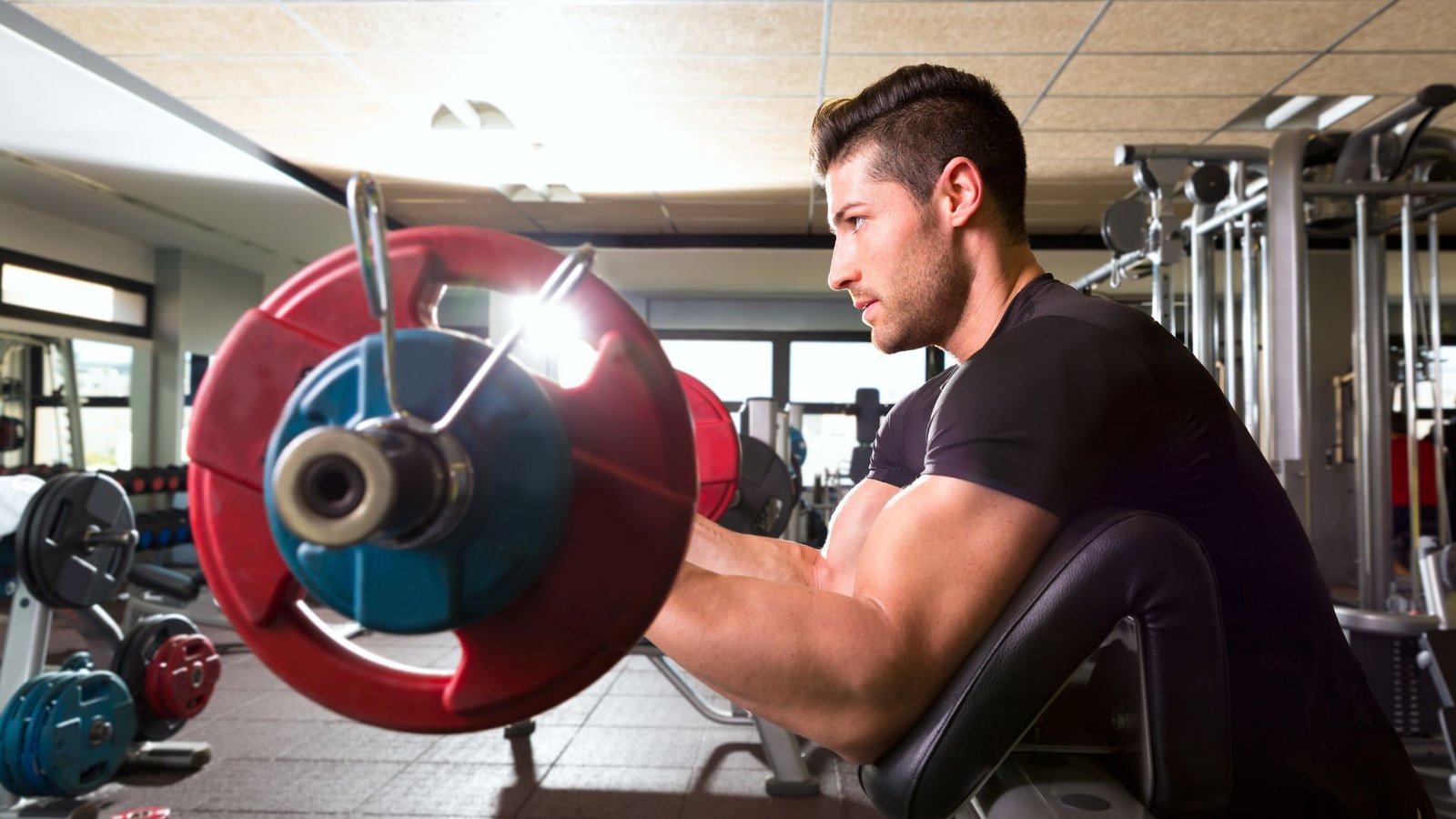 biceps workout with dumbbells