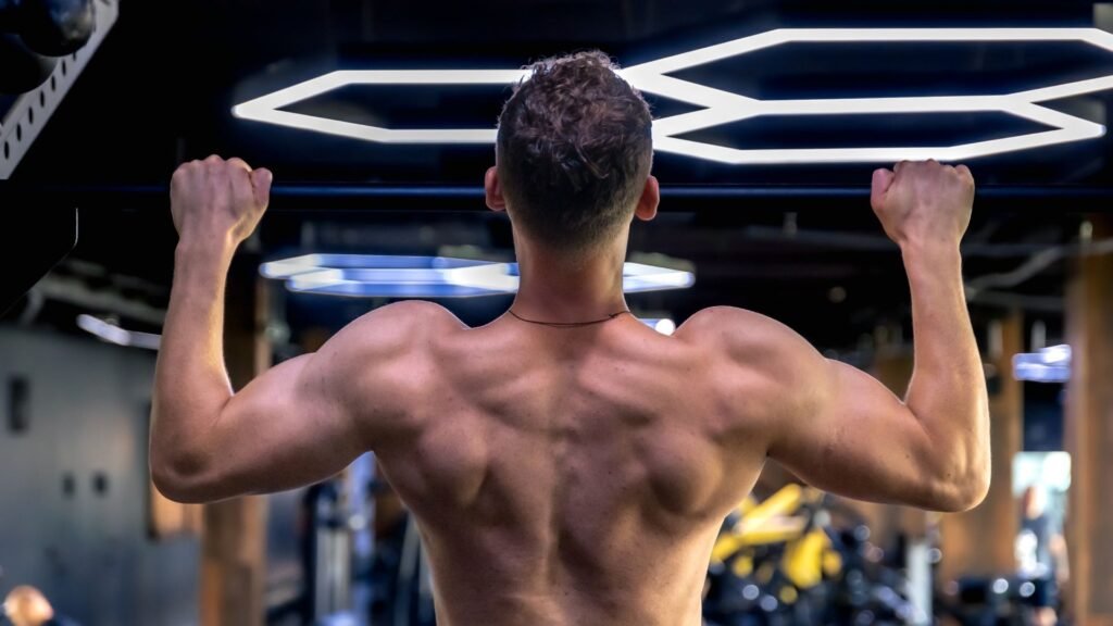 perfect back workout