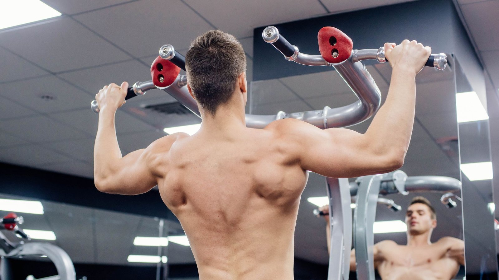 perfect back workout