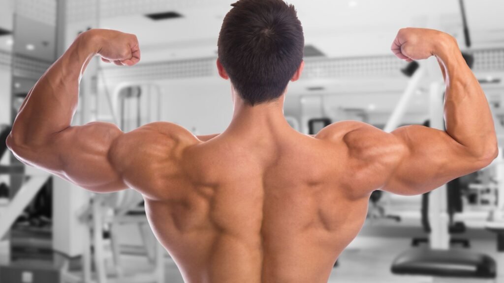 back and bicep routine