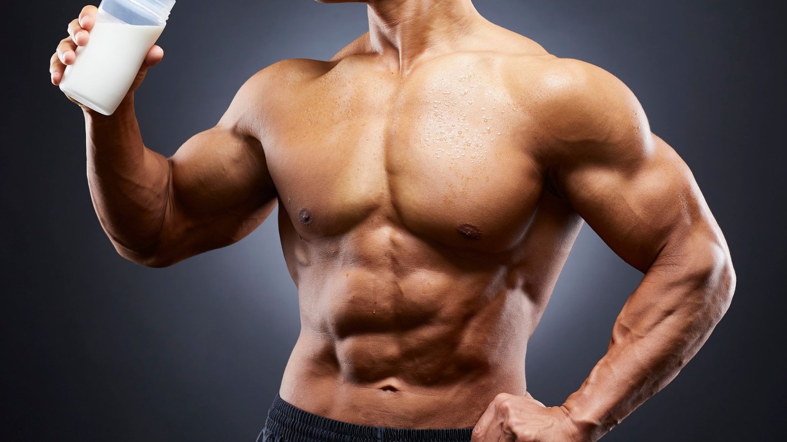 high protein foods for muscle building